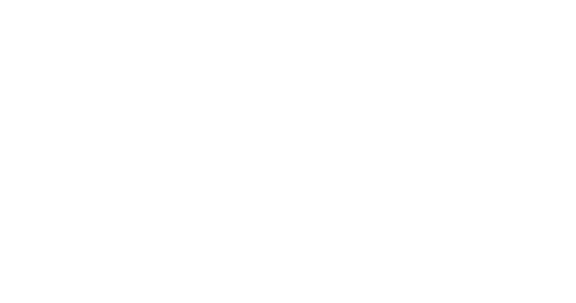 Suicide & Co